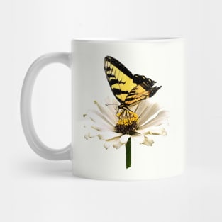 Tiger Swallowtail on White Zinnia Mug